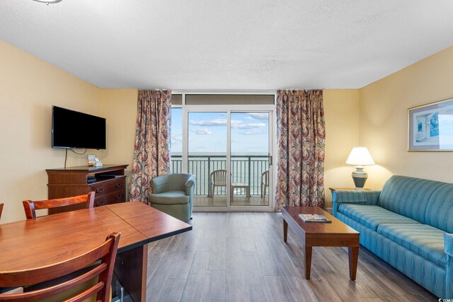 1604 N Ocean Blvd Unit 904, Myrtle Beach, SC 29577 - living area with a textured ceiling and wood finished floors