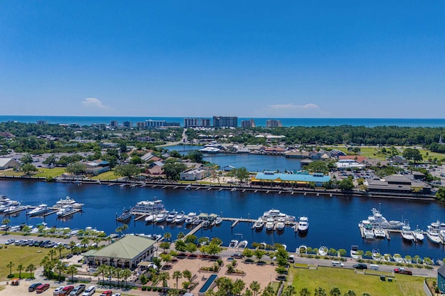 drone / aerial view of numerous boat docks and a large body of water