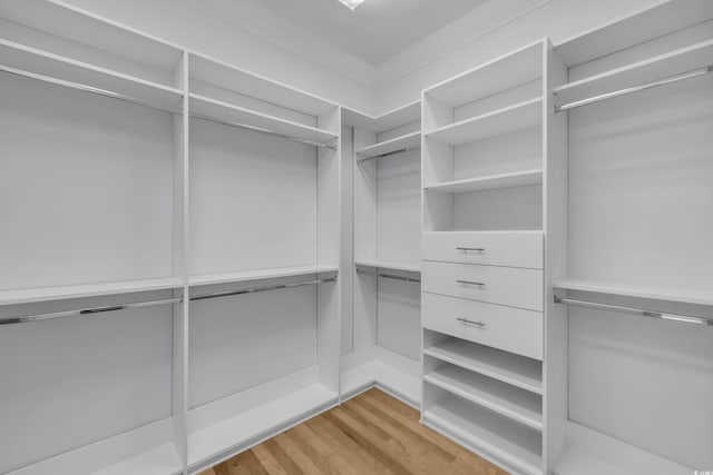 spacious closet featuring light wood-style flooring