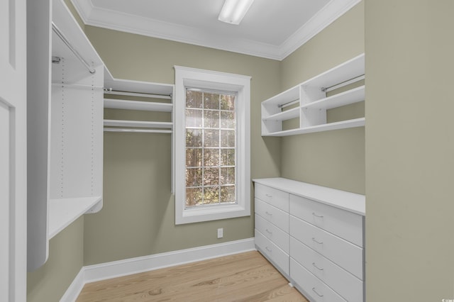 spacious closet featuring light wood-type flooring