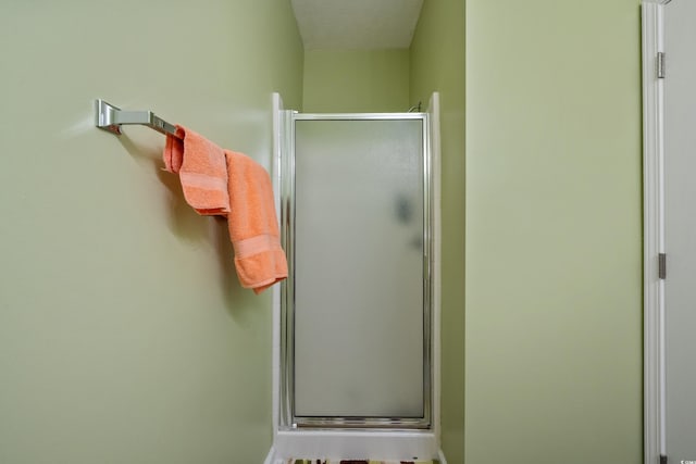 bathroom featuring a shower stall