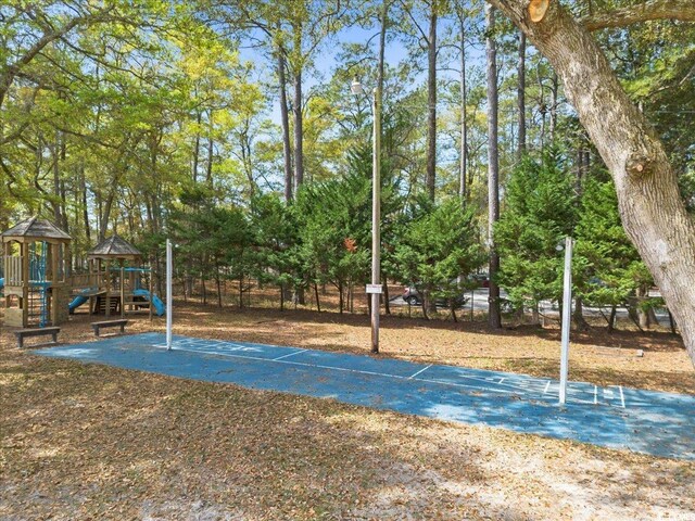 2108 Brunswick Cir, Little River, SC 29566 - view of basketball court