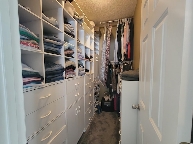 7473 Louisville Rd, Aynor, SC 29511 - walk in closet with dark colored carpet