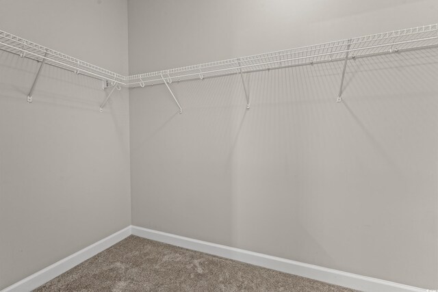 826 Sand Binder Dr, Myrtle Beach, SC 29579 - photo 24