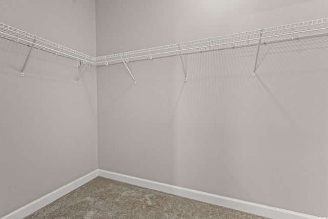 826 Sand Binder Dr, Myrtle Beach, SC 29579 - walk in closet featuring carpet floors
