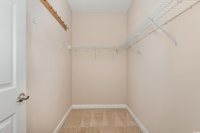 406 Pritchard St, Myrtle Beach, SC 29588 - spacious closet featuring light carpet