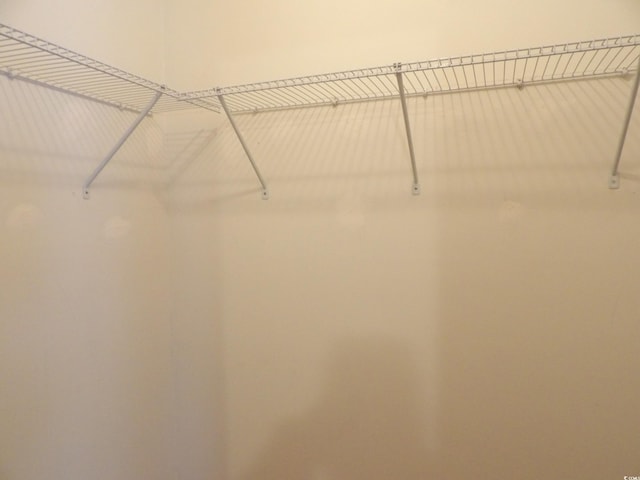 1208 Mackie Cir, Myrtle Beach, SC 29579 - view of walk in closet