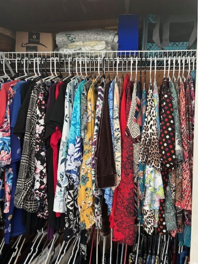 4396 Baldwin Ave Unit C-24, Little River, SC 29566 - view of spacious closet