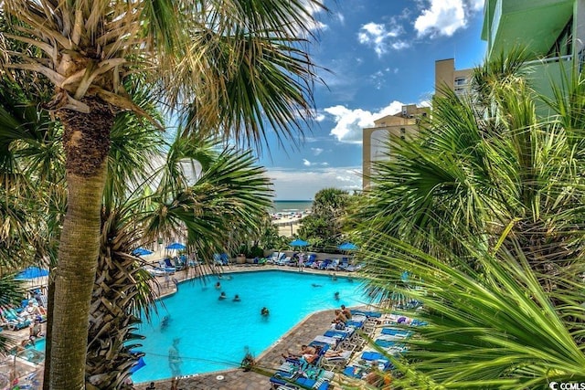 1105 S Ocean Blvd Unit 502, Myrtle Beach, SC 29577 - view of community pool