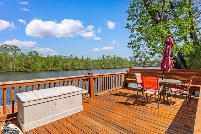 164 Mohican Dr, Georgetown, SC 29440 - photo 35