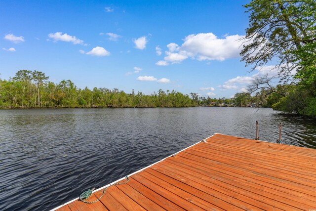 164 Mohican Dr, Georgetown, SC 29440 - photo 36