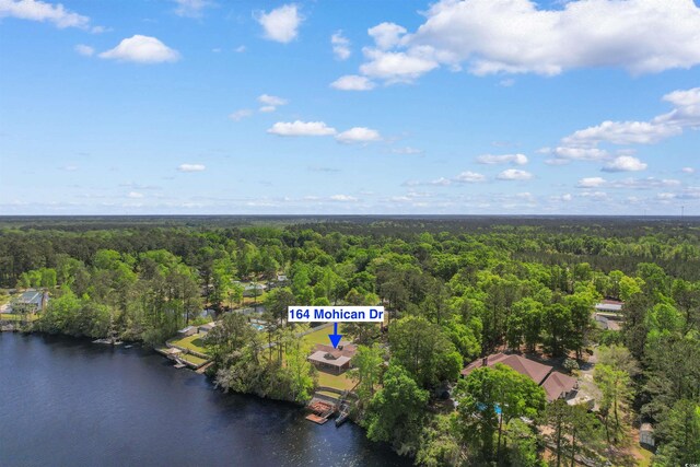 164 Mohican Dr, Georgetown, SC 29440 - photo 40