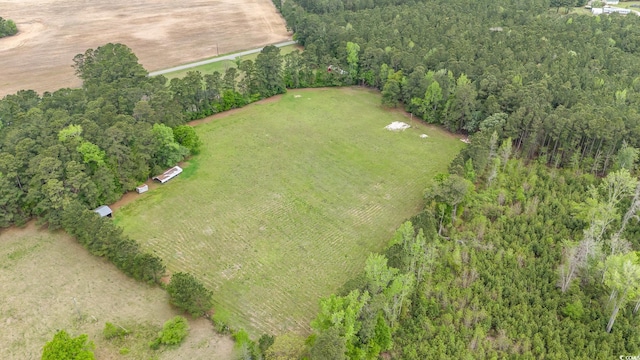 1315 Sioux Swamp Dr, Conway, SC 29527 - aerial view with a view of trees