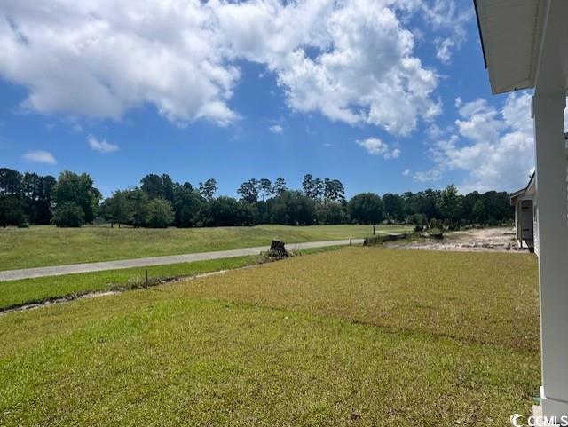 9738 Indigo Creek Blvd, Murrells Inlet, SC 29576 - view of grassy yard
