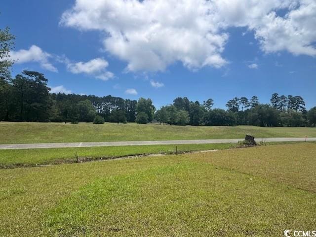 9738 Indigo Creek Blvd, Murrells Inlet, SC 29576 - view of green lawn