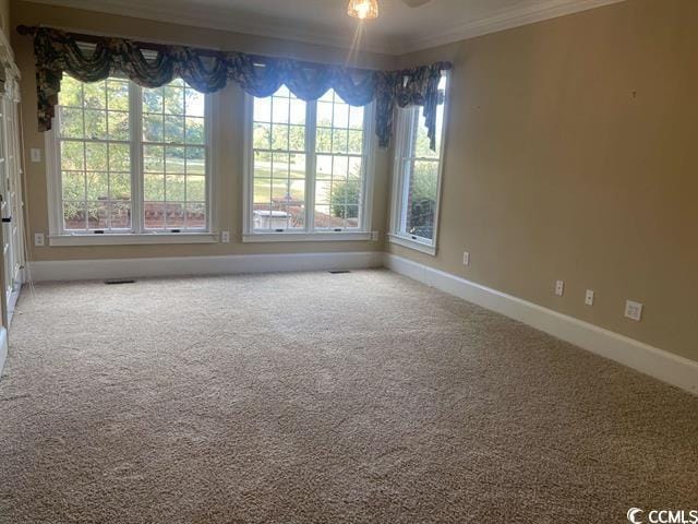 361 Dwellings Dr, Johnsonville, SC 29555 - photo 10