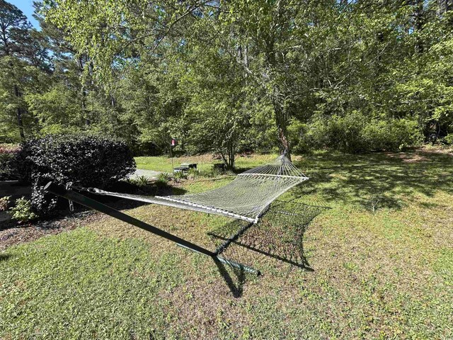 361 Dwellings Dr, Johnsonville, SC 29555 - photo 32