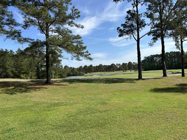361 Dwellings Dr, Johnsonville, SC 29555 - photo 30