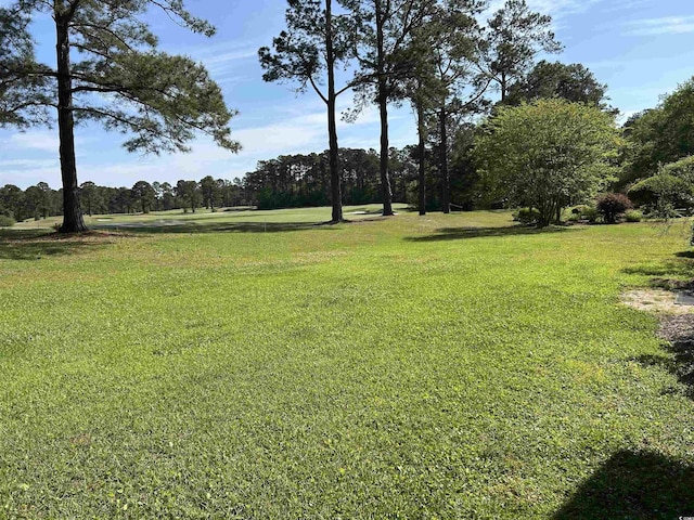 361 Dwellings Dr, Johnsonville, SC 29555 - photo 29
