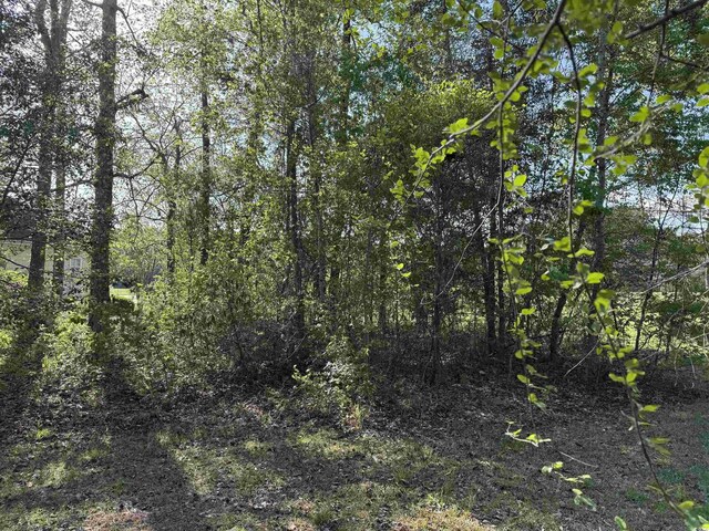 911 Shaftesbury Ln, Conway, SC 29526 - photo 5