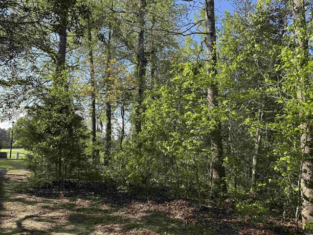911 Shaftesbury Ln, Conway, SC 29526 - photo 4
