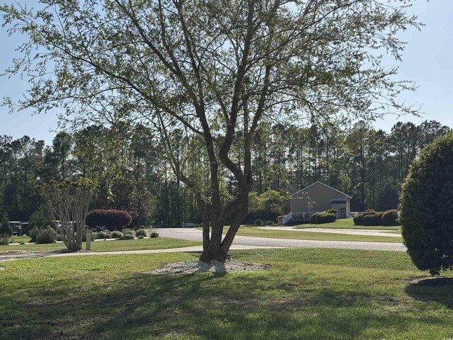 911 Shaftesbury Ln, Conway, SC 29526 - photo 3