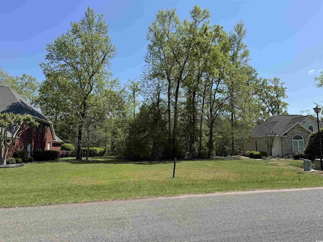 911 Shaftesbury Ln, Conway, SC 29526 - photo 1