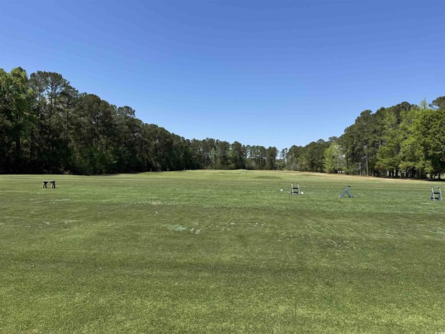 911 Shaftesbury Ln, Conway, SC 29526 - photo 12