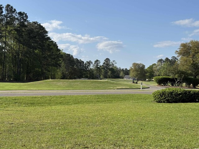 911 Shaftesbury Ln, Conway, SC 29526 - photo 9