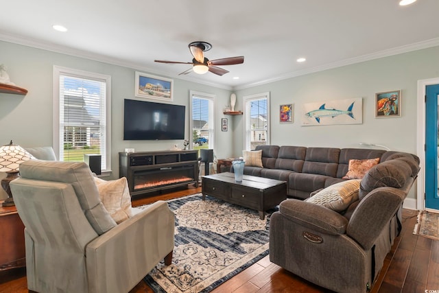 living room with crown molding, dark wood-style floors, and ceiling fan
