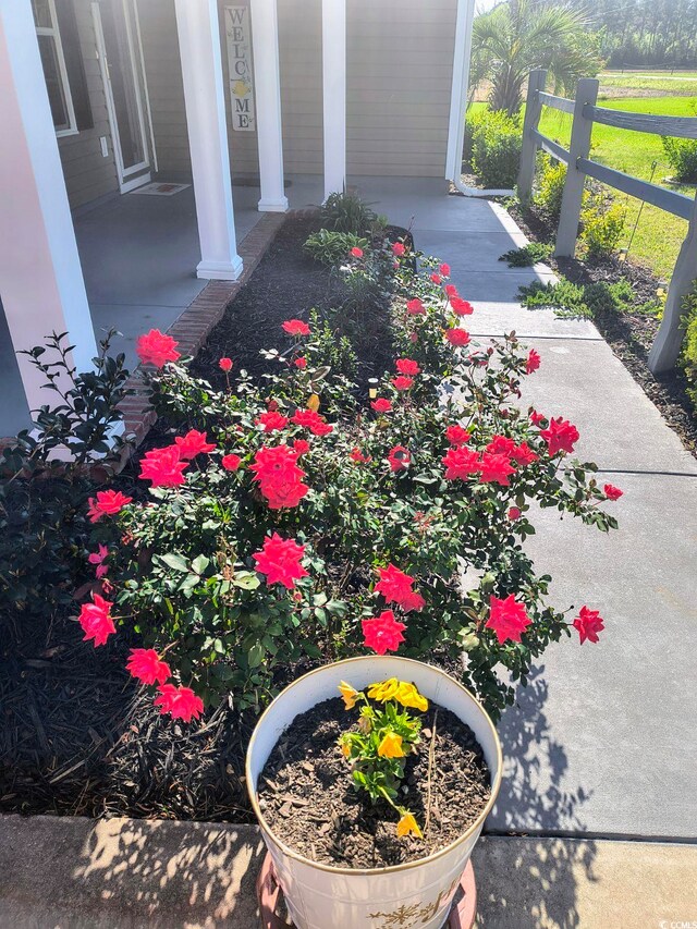 1210 Horry Rd, Aynor, SC 29511 - view of patio