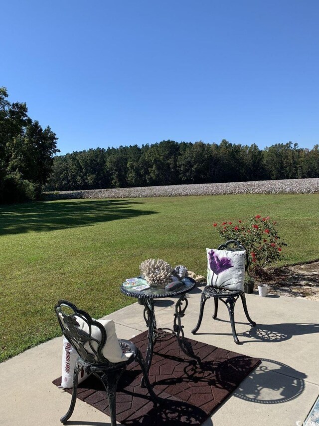 1210 Horry Rd, Aynor, SC 29511 - view of patio / terrace