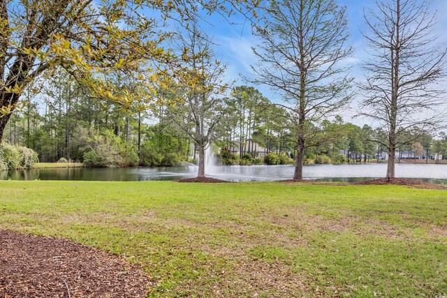 3004 Fiddler Ct, Loris, SC 29569 - photo 34