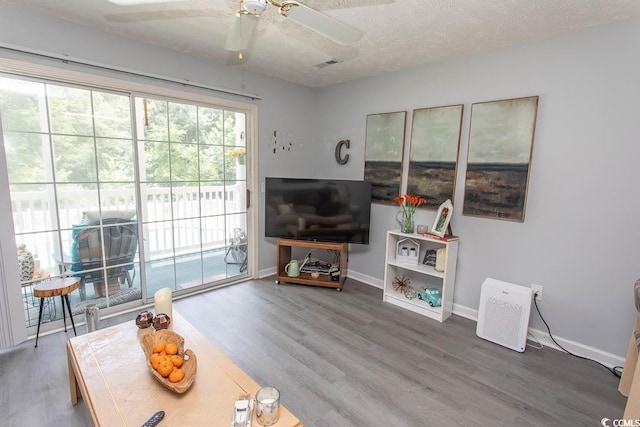 646 Tupelo Ln Unit 4E, Longs, SC 29568 - living area with wood finished floors, a ceiling fan, and a textured ceiling