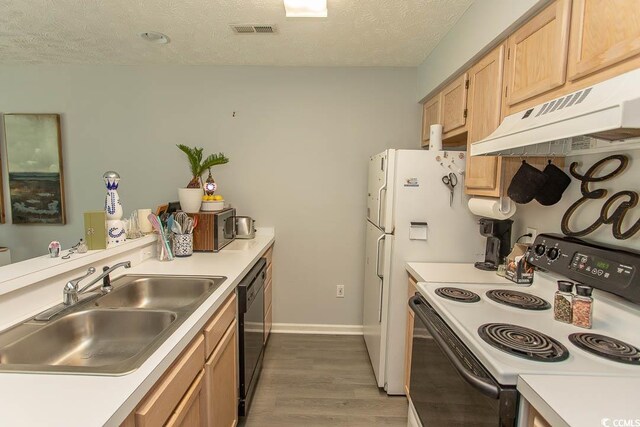 646 Tupelo Ln Unit 4E, Longs, SC 29568 - kitchen featuring range with electric cooktop, under cabinet range hood, a textured ceiling, wood finished floors, and light brown cabinetry