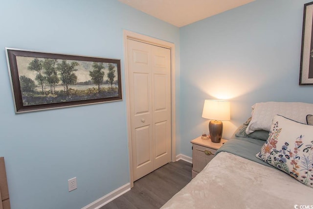 646 Tupelo Ln Unit 4E, Longs, SC 29568 - bedroom with dark wood-style flooring and a closet