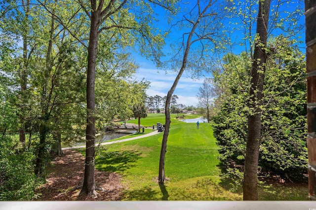 679 Riverwalk Dr Unit 201, Myrtle Beach, SC 29579 - photo 16