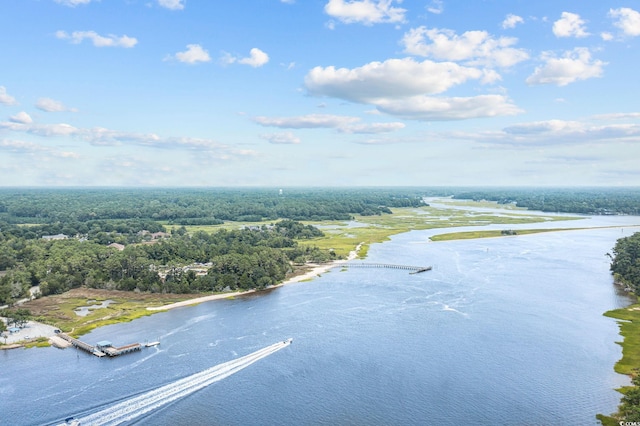 1315 Ashboro Ct, Myrtle Beach, SC 29579 - drone / aerial view with a water view