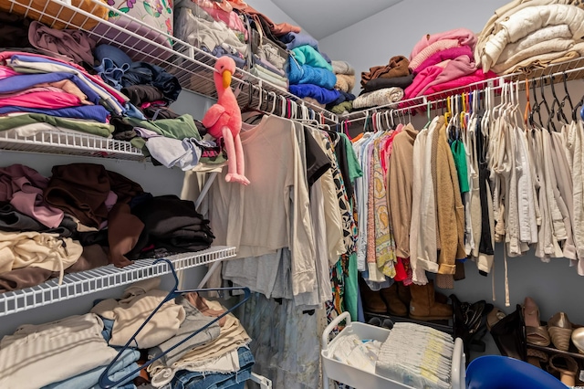 view of spacious closet