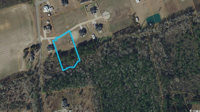 204 Shady Pines Ct, Conway, SC 29527 - aerial map of property and surrounding area featuring property boundaries highlighted