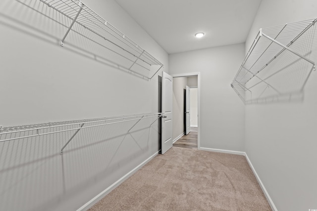1513 Anne St, North Myrtle Beach, SC 29582 - spacious closet with light carpet