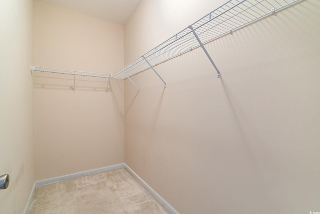 180 Oak Crest Cir, Longs, SC 29568 - walk in closet with light colored carpet