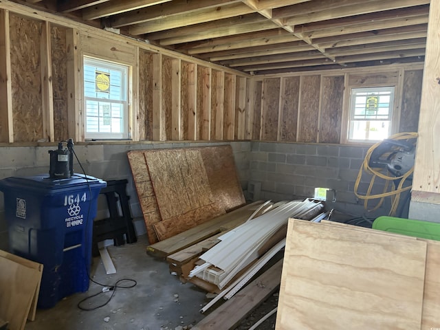 basement featuring concrete block wall