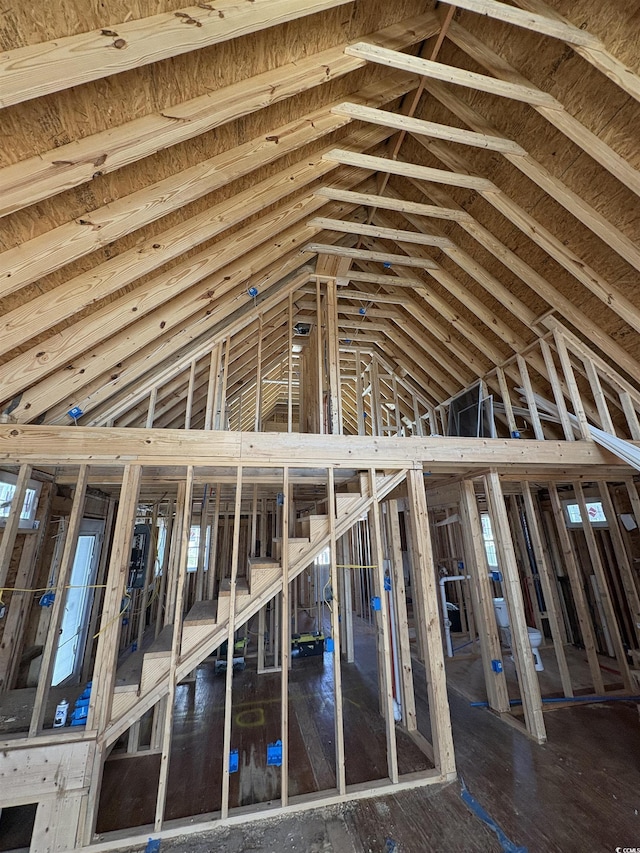 miscellaneous room with lofted ceiling