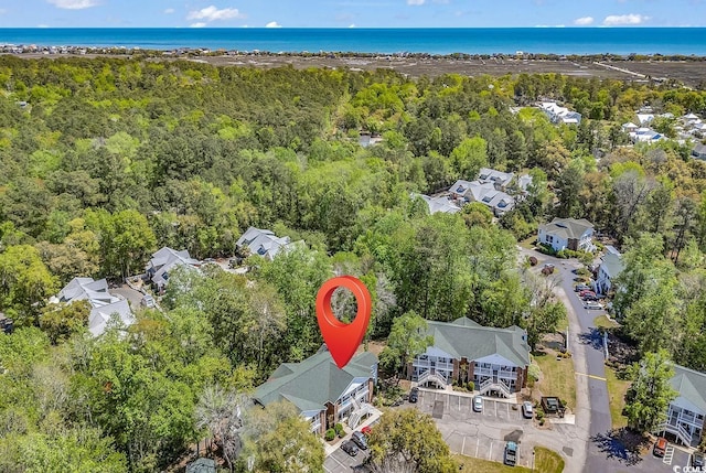 157 Egret Run Ln Unit 514, Pawleys Island, SC 29585 - aerial view of a heavily wooded area and a large body of water