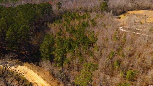0 Henry Rd, Greeleyville, SC 29056 - photo 8