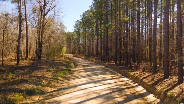 0 Henry Rd, Greeleyville, SC 29056 - photo 7