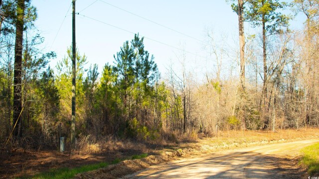 0 Henry Rd, Greeleyville, SC 29056 - photo 5