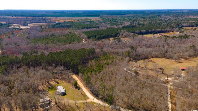 0 Henry Rd, Greeleyville, SC 29056 - photo 4