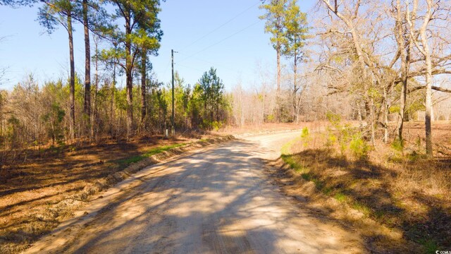 0 Henry Rd, Greeleyville, SC 29056 - photo 2